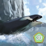 海洋3d蓝鲸模拟单机离线版