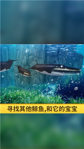 海洋3d蓝鲸模拟单机离线版