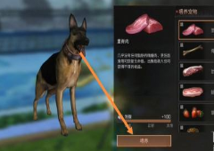 明日之后怎么喂宠物喂食方法流程攻略