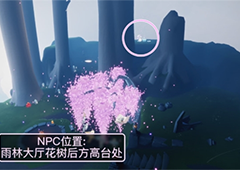 光遇花憩节先祖在哪里地点位置一览