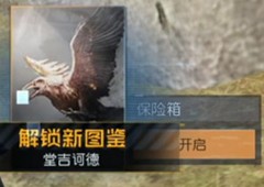 黎明觉醒堂吉诃德藏宝图在哪宝藏位置分享