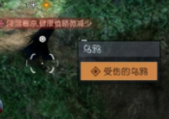 黎明觉醒受伤的乌鸦在哪任务完成攻略