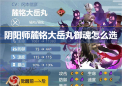 阴阳师麓铭大岳丸御魂怎么选御魂搭配攻略