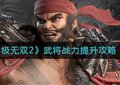 极无双2武将战力怎么提升武将觉醒攻略
