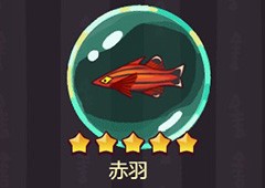 咸鱼之王鱼灵怎么获得鱼灵搭配技巧