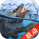 天天钓鱼 免费版手游大全