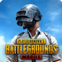 地铁逃生pubg官方下载入口官方下载电脑版